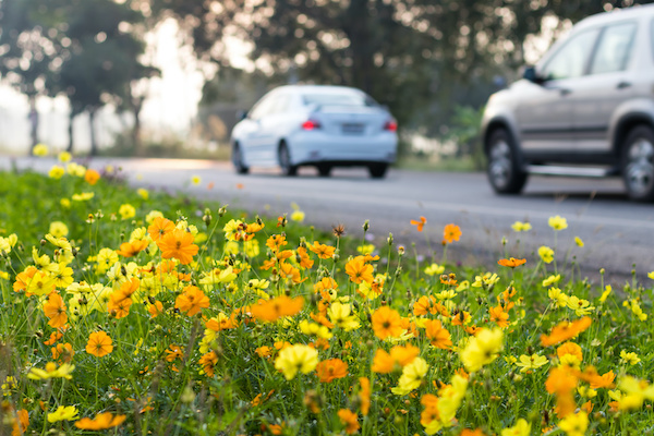 April is Car Care Month