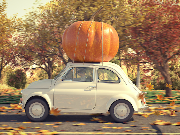 5 Fall Maintenance Tips for your Vehicle 